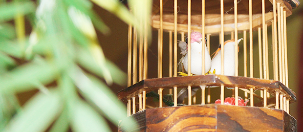 Header 03